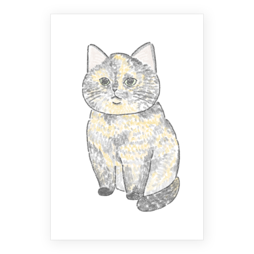 もちこ_サビ猫4-1