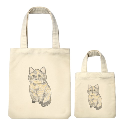 もちこ_サビ猫4-1