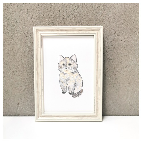 もちこ_サビ猫4-1