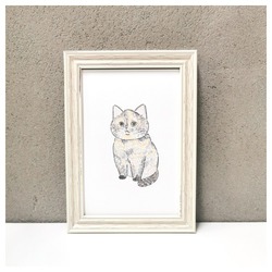 もちこ_サビ猫4-1