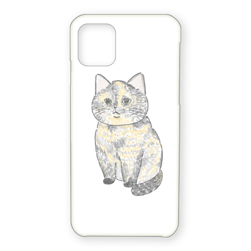 もちこ_サビ猫4-1