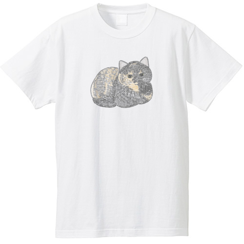 もちこ_サビ猫4-2