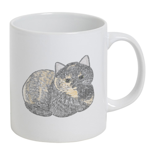 もちこ_サビ猫4-2