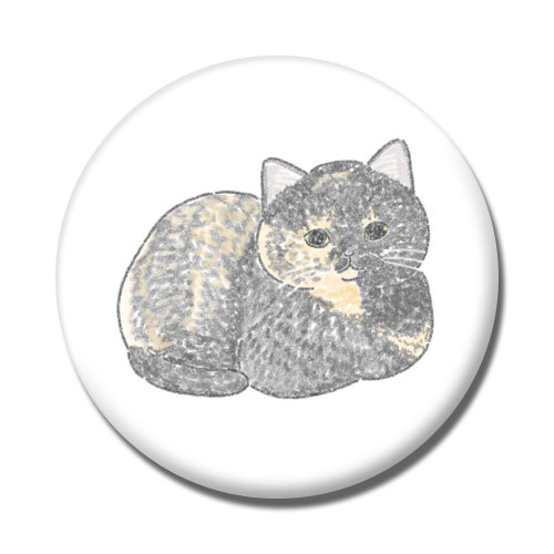 もちこ_サビ猫4-2