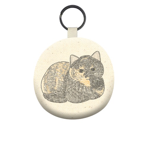 もちこ_サビ猫4-2