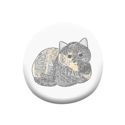 もちこ_サビ猫4-2