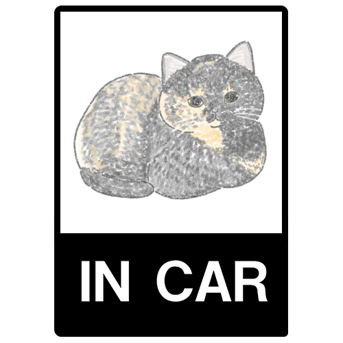 もちこ_サビ猫4-2