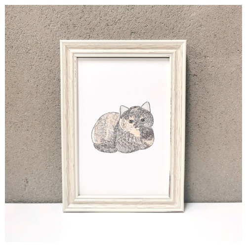 もちこ_サビ猫4-2