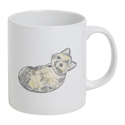 もちこ_サビ猫4-3