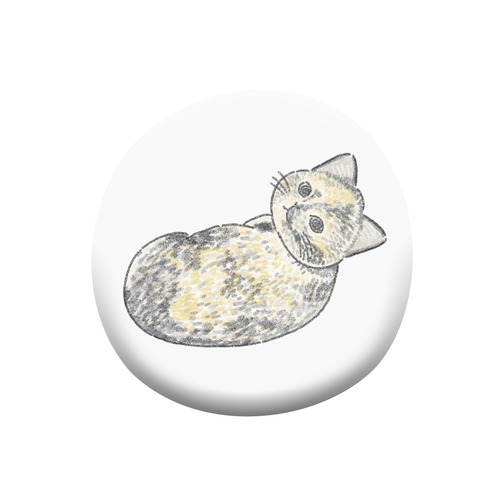 もちこ_サビ猫4-3