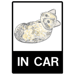 もちこ_サビ猫4-3