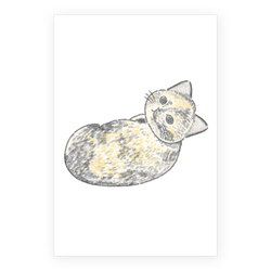 もちこ_サビ猫4-3