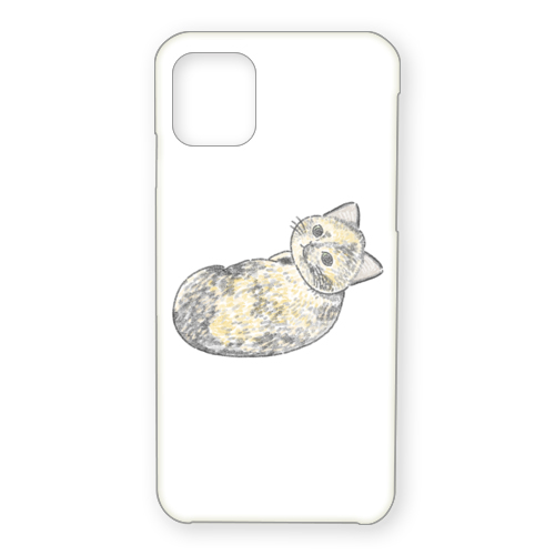 もちこ_サビ猫4-3