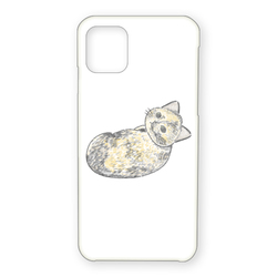 もちこ_サビ猫4-3