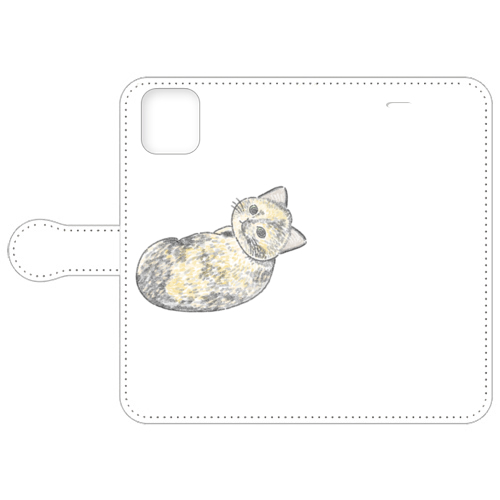 もちこ_サビ猫4-3