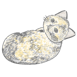 もちこ_サビ猫4-3