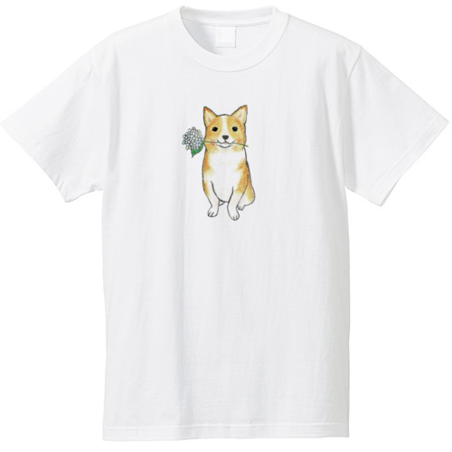 shoco_コーギー5-1