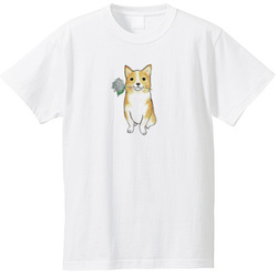 shoco_コーギー5-1