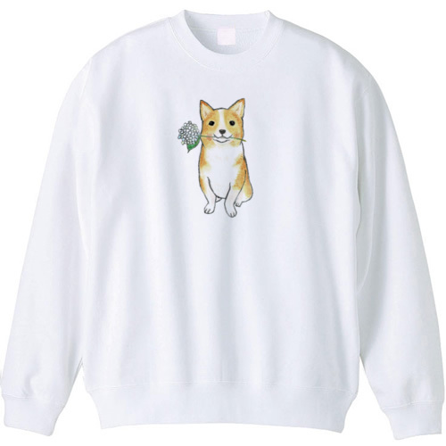 shoco_コーギー5-1