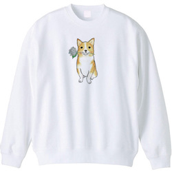 shoco_コーギー5-1