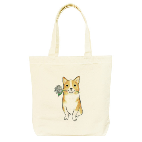 shoco_コーギー5-1