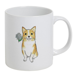 shoco_コーギー5-1