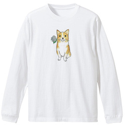 shoco_コーギー5-1