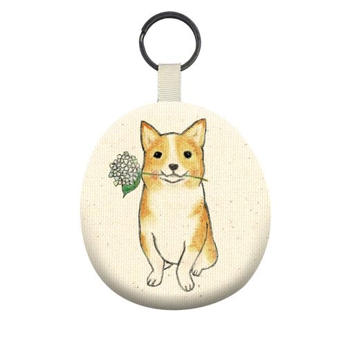 shoco_コーギー5-1