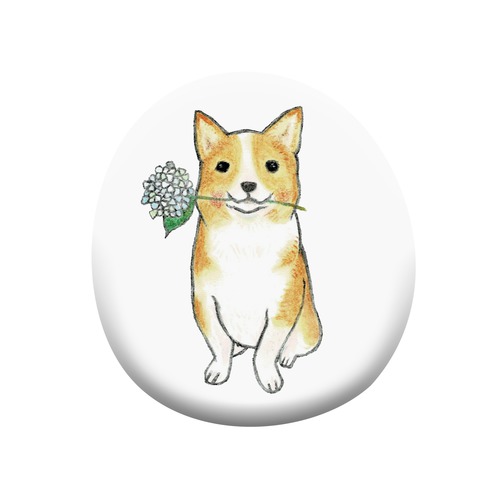 shoco_コーギー5-1