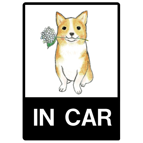 shoco_コーギー5-1