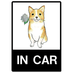 shoco_コーギー5-1