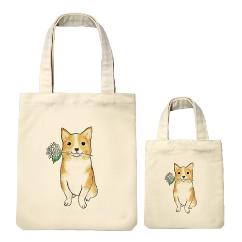 shoco_コーギー5-1