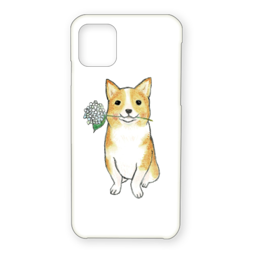 shoco_コーギー5-1