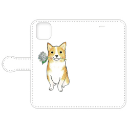 shoco_コーギー5-1