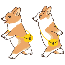 tama_コーギー5-1