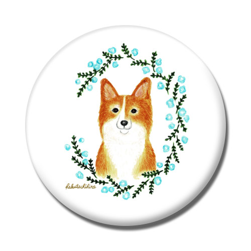 はくたちひろ_コーギー5-1