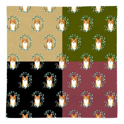 はくたちひろ_コーギー5-1