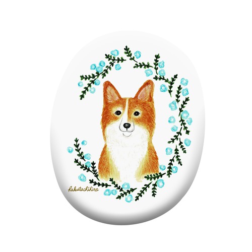 はくたちひろ_コーギー5-1