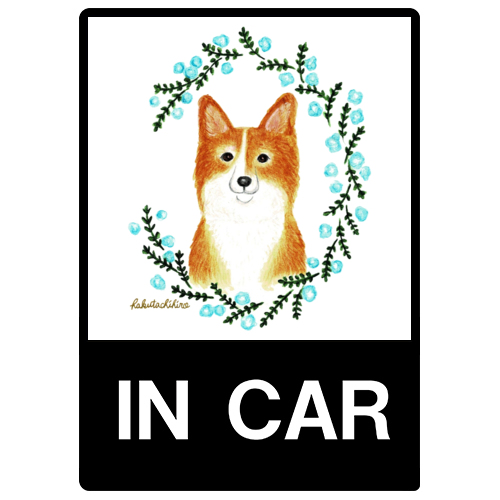 はくたちひろ_コーギー5-1