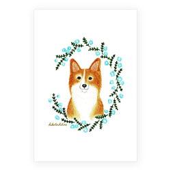 はくたちひろ_コーギー5-1