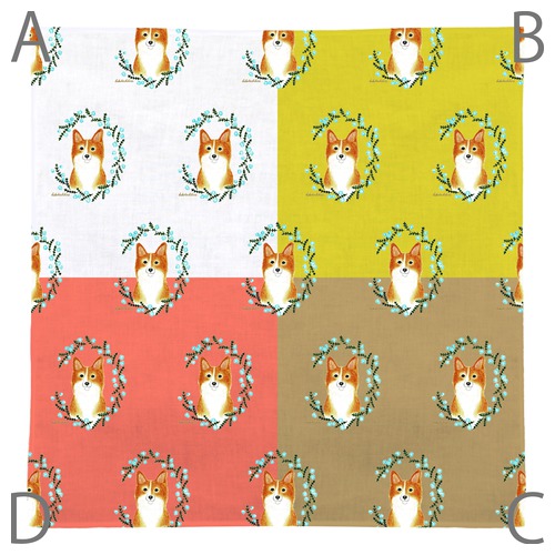 はくたちひろ_コーギー5-1