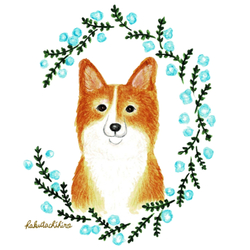 はくたちひろ_コーギー5-1