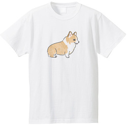 もちこ_コーギー5-1