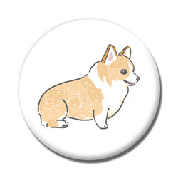 もちこ_コーギー5-1