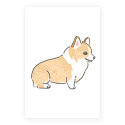 もちこ_コーギー5-1