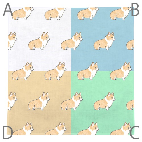 もちこ_コーギー5-1