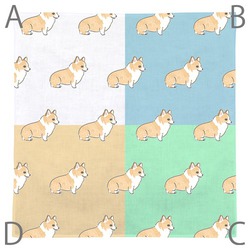 もちこ_コーギー5-1