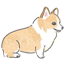 もちこ_コーギー5-1