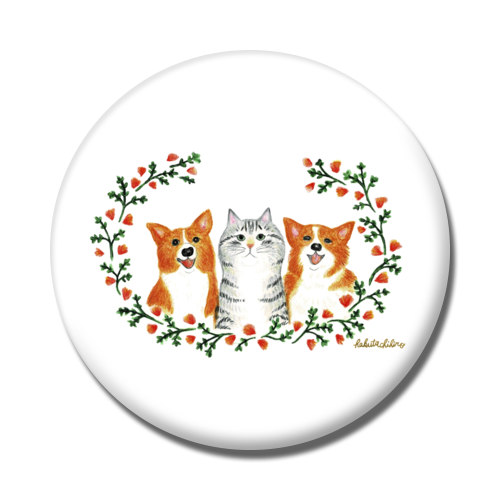 はくたちひろ_コーギー&アメリカンショートヘア5-1