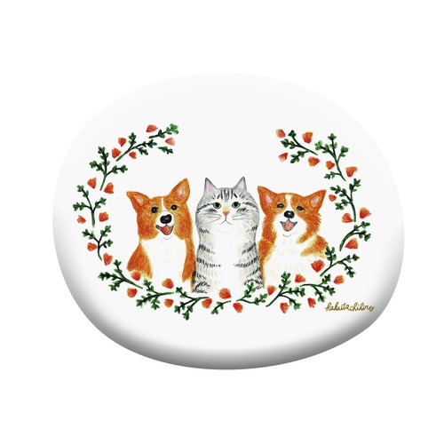 はくたちひろ_コーギー&アメリカンショートヘア5-1